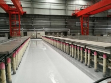 Gantry stepping electrophoresis tank and anode tube system