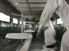 Tail robot spraying line